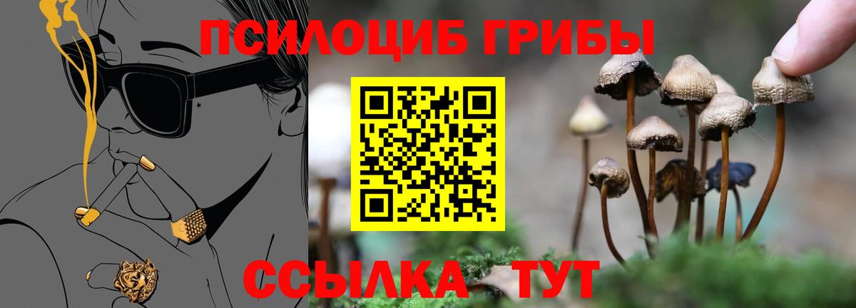 закладки  Псилоцибиновые грибы прущие грибы  Галлюциногенные грибы прущие грибы  Вход с VPN  Астрахань 